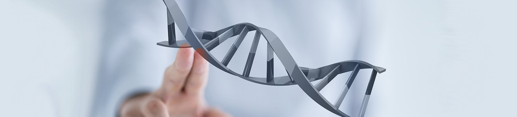 QPCR Series